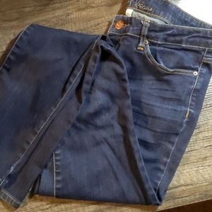 Chip & Pepper Jeans Jeggings